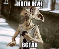 коли жук встав