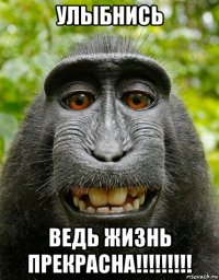 улыбнись ведь жизнь прекрасна!!!!!!!!!