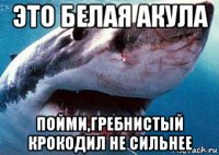 это белая акула пойми,гребнистый крокодил не сильнее