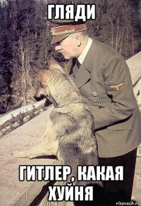 гляди гитлер, какая хуйня