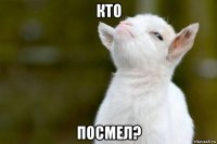 кто посмел?