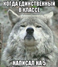 когда единственный в классе написал на 5