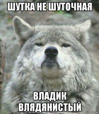 шутка не шуточная владик влядянистый