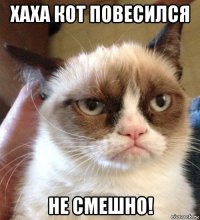 хаха кот повесился не смешно!