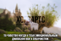  то чувство когда у тебя эмоциональный диапазон как у зубочистки.
