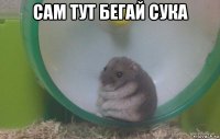 сам тут бегай сука 