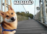 hai afară? 