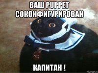 ваш puppet соконфигурирован капитан !