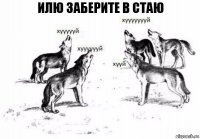 Илю заберите в стаю