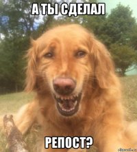 а ты сделал репост?