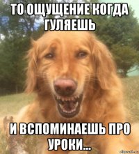 то ощущение когда гуляешь и вспоминаешь про уроки...