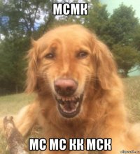 мсмк мс мс кк мск