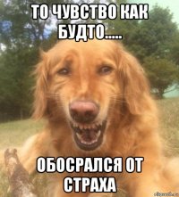 то чувство как будто..... обосрался от страха