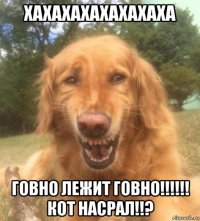 хахахахахахахаха говно лежит говно!!!!!! кот насрал!!?