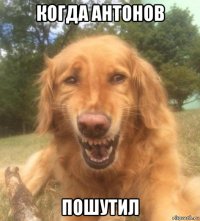 когда антонов пошутил