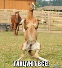  танцуют все!