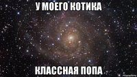 у моего котика классная попа