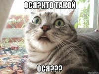 ося?кто такой ося???