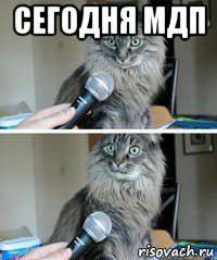 сегодня мдп 