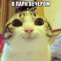 в парк вечером 