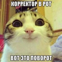 корректор в рот вот это поворот