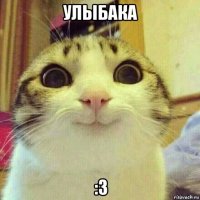 улыбака :3