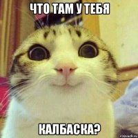 что там у тебя калбаска?