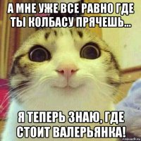 а мне уже все равно где ты колбасу прячешь... я теперь знаю, где стоит валерьянка!