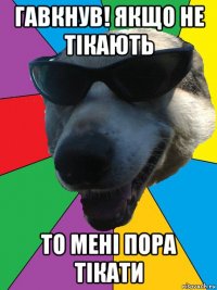 гавкнув! якщо не тікають то мені пора тікати