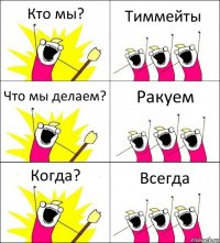 Кто мы? Тиммейты Что мы делаем? Ракуем Когда? Всегда