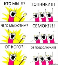 КТО МЫ!!!? ГОПНИКИ!!! ЧЕГО МЫ ХОТИМ? СЕМОК!?!! ОТ КОГО?! ОТ ПОДСОЛНУХА!!!