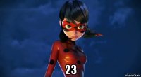  23