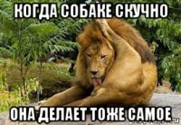 когда собаке скучно она делает тоже самое