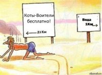 Коты-Воители бесплатно!