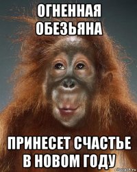 огненная обезьяна принесет счастье в новом году