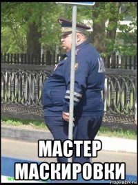  мастер маскировки