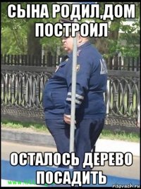сына родил,дом построил осталось дерево посадить