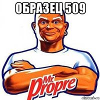 образец 509 