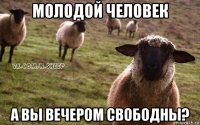 молодой человек а вы вечером свободны?