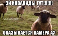 эй инвалиды тут!!!!!!! оказывается камера а?