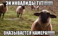 эй инвалиды тут!!!!!!! оказывается камера!!!!!!