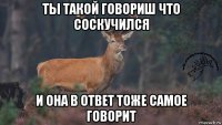 ты такой говориш что соскучился и она в ответ тоже самое говорит