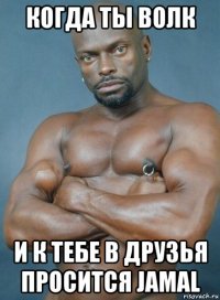 когда ты волк и к тебе в друзья просится jamal