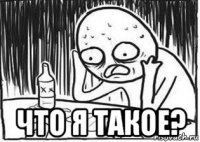  что я такое?