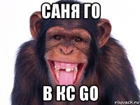 саня го в кс go