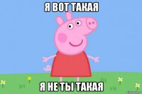 я вот такая я не ты такая