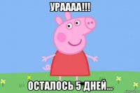 ураааа!!! осталось 5 дней...