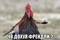  чо дохуя френдли ?