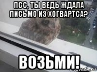 псс, ты ведь ждала письмо из хогвартса? возьми!