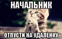 начальник отпусти на удаленку